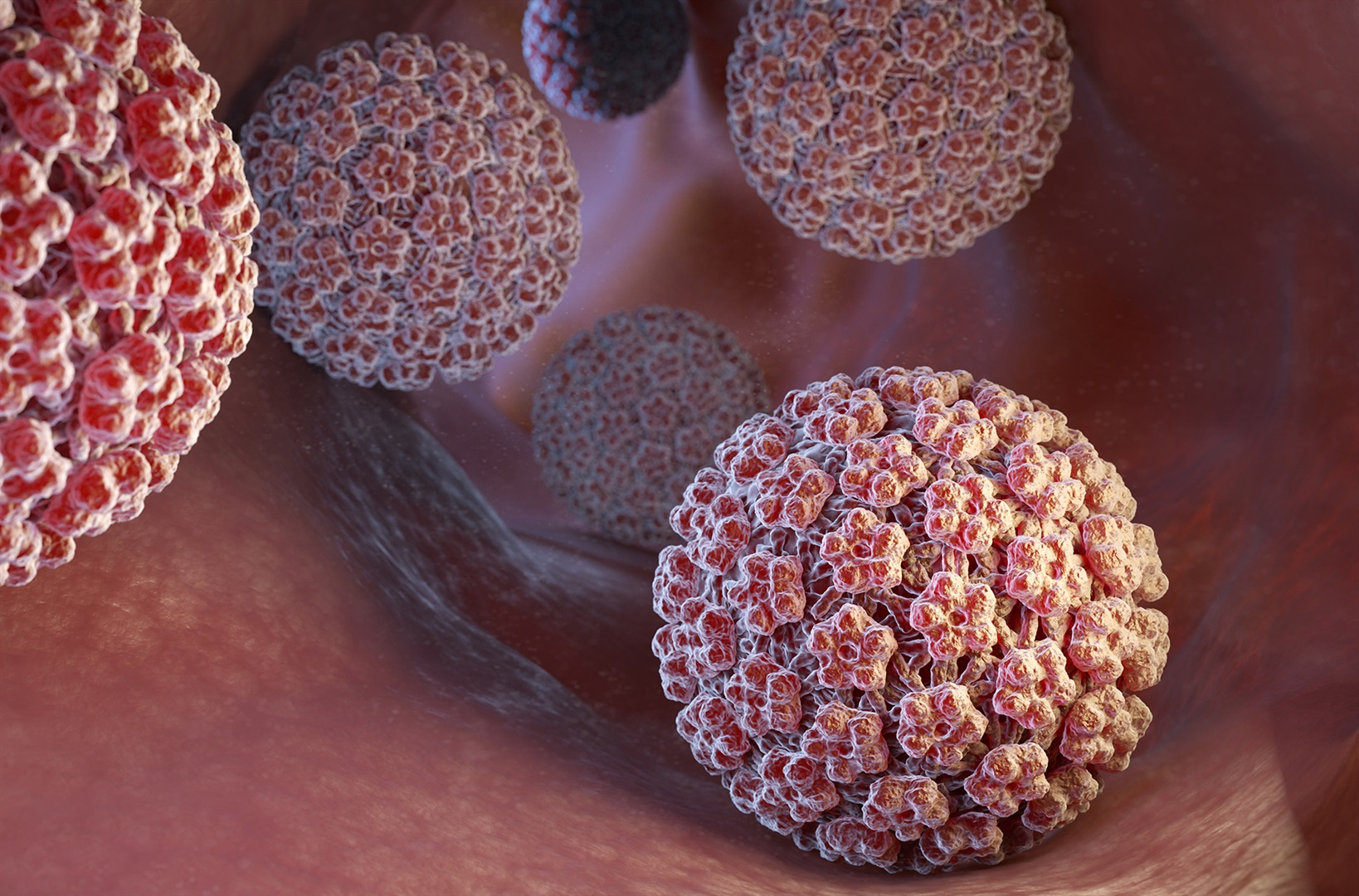 virus hpv